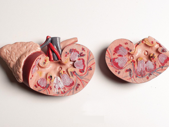 adrenal-insufficiency